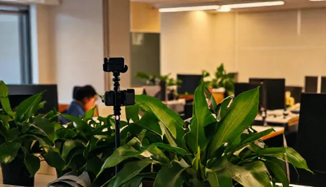 文案创作中的策划环节:选题与内容设计